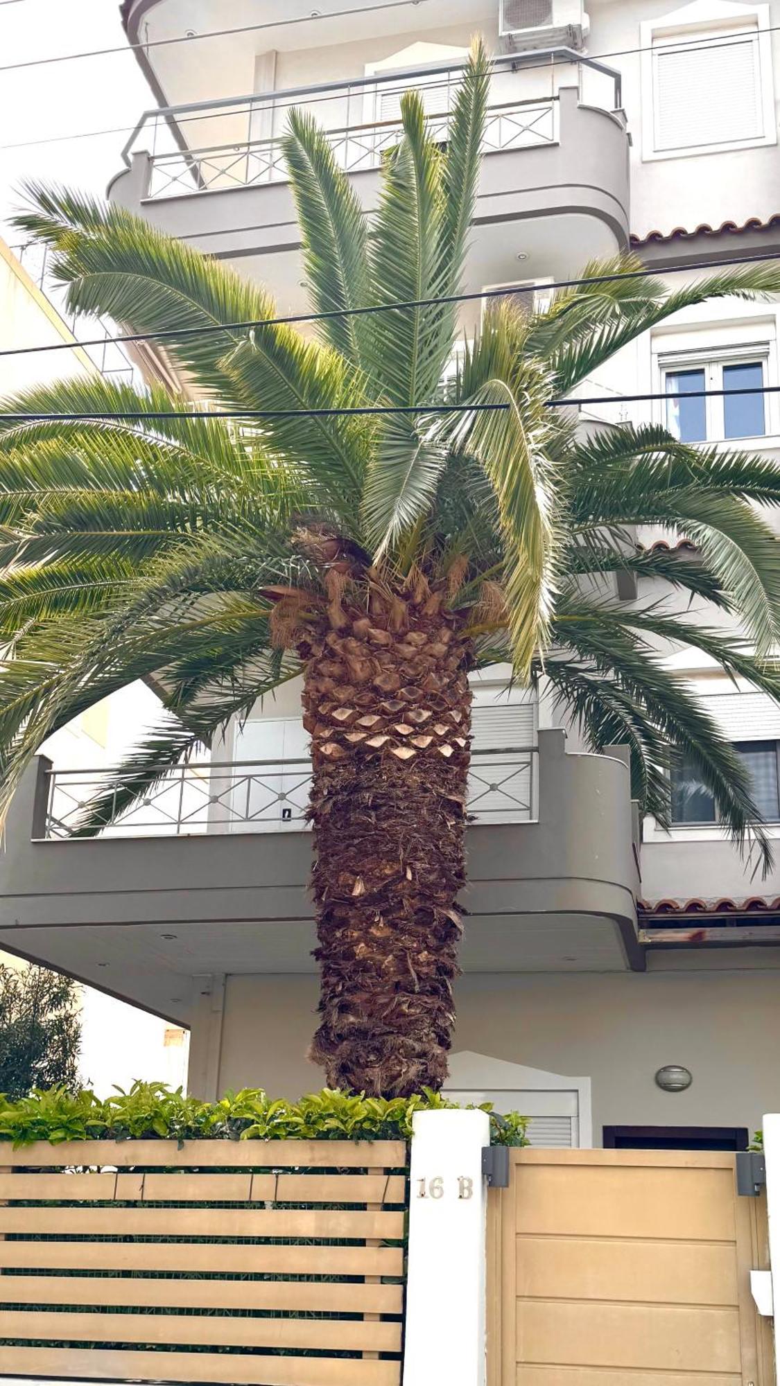 Elegant Glyfada Apartment-Private Garden-Near Metro Αθήνα Εξωτερικό φωτογραφία